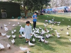 -南通洲际绿博园