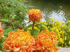 -杭州植物园