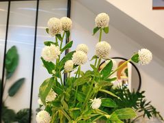 -森野花艺培训·企业团建活动沙龙