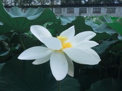 -清晏园