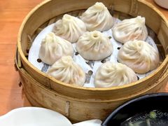 -莱莱小笼·乔艾