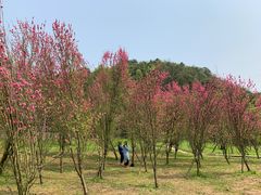 -贵阳市花溪国家城市湿地公园