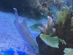 -欢乐海岸海洋奇梦馆