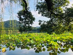 -苏堤停车场
