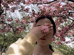 -石家庄市植物园