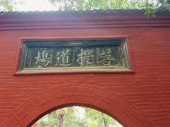 -洛阳白马寺