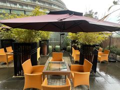 -青藤茶馆(凤起路店)