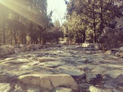 -阳台山自然风景区