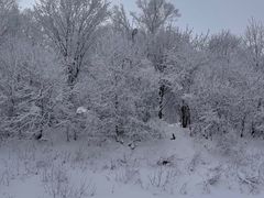 -长白山万达国际滑雪场