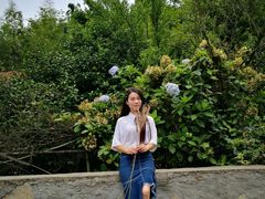-天花井景区