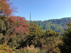 -天鹿湖森林公园