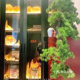 鼎琪 | 高品质江浙菜，美食与美景相伴