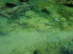 -叠溪松坪沟景区