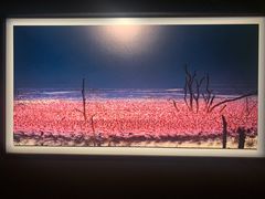 -罗红摄影艺术馆