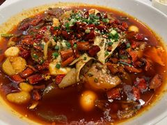 精品毛血旺-万荣烤鸭店·北京菜(天坛店)