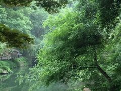 -岳麓山风景名胜区