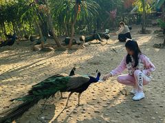 -西双版纳勐泐文化旅游区
