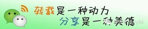 -张氏宽窄巷成都名小吃(茂业百货华强北店)