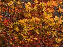 -三块石国家森林公园