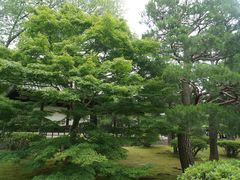 -星巴克(上海交通大学店)