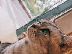 -平行世界·猫咖(首经贸店)