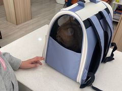-申普宠物医院·眼科·心内科·影像科(普陀分院)