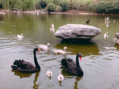 -西安秦岭野生动物园