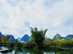 -靖西鹅泉风景区