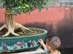 -东莞市可园博物馆