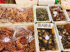 -蛇口市场