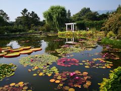 -国家植物园南园