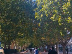 -Helens海伦司小酒馆(对外经贸大学店)