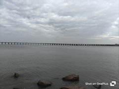 -宝安西湾红树林湿地公园