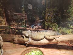 -多彩贵州城极地海洋世界