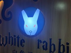 -白兔子密室(长寿路店)