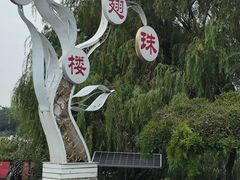 -鱼翅楼·津派砂锅鱼翅(水上公园店)