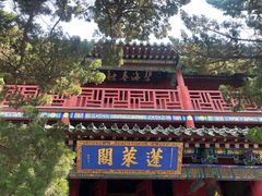 -蓬莱阁景区