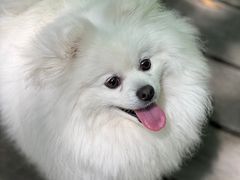 -桤木河湿地公园