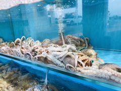 -港畔赶海蒸汽海鲜烧烤自助(仙螺岛店)