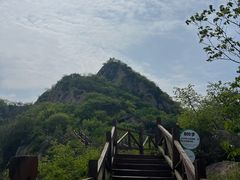 -大岭沟猕猴桃谷风景区