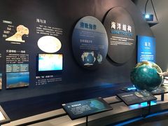 -贝林大翅鲸简餐厅(国家海洋博物馆店)