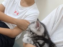 -美联众合动物医院·24h京西诊疗中心