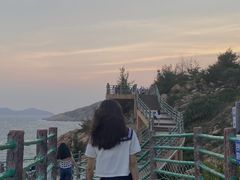 -广东惠东海龟国家级自然保护区