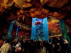 -青岛嘉年华主题乐园