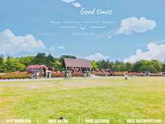 -上海滨江森林公园