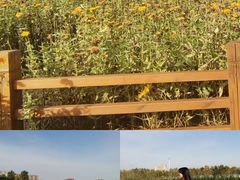 -长春世界雕塑园冰雪艺术天地