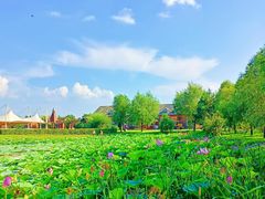 -黑龙江省森林植物园