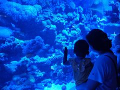 -太平洋海底世界