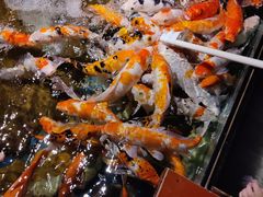 -太平洋海底世界