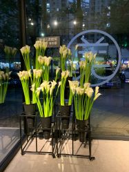 -奈瑞儿美颜美养SPA